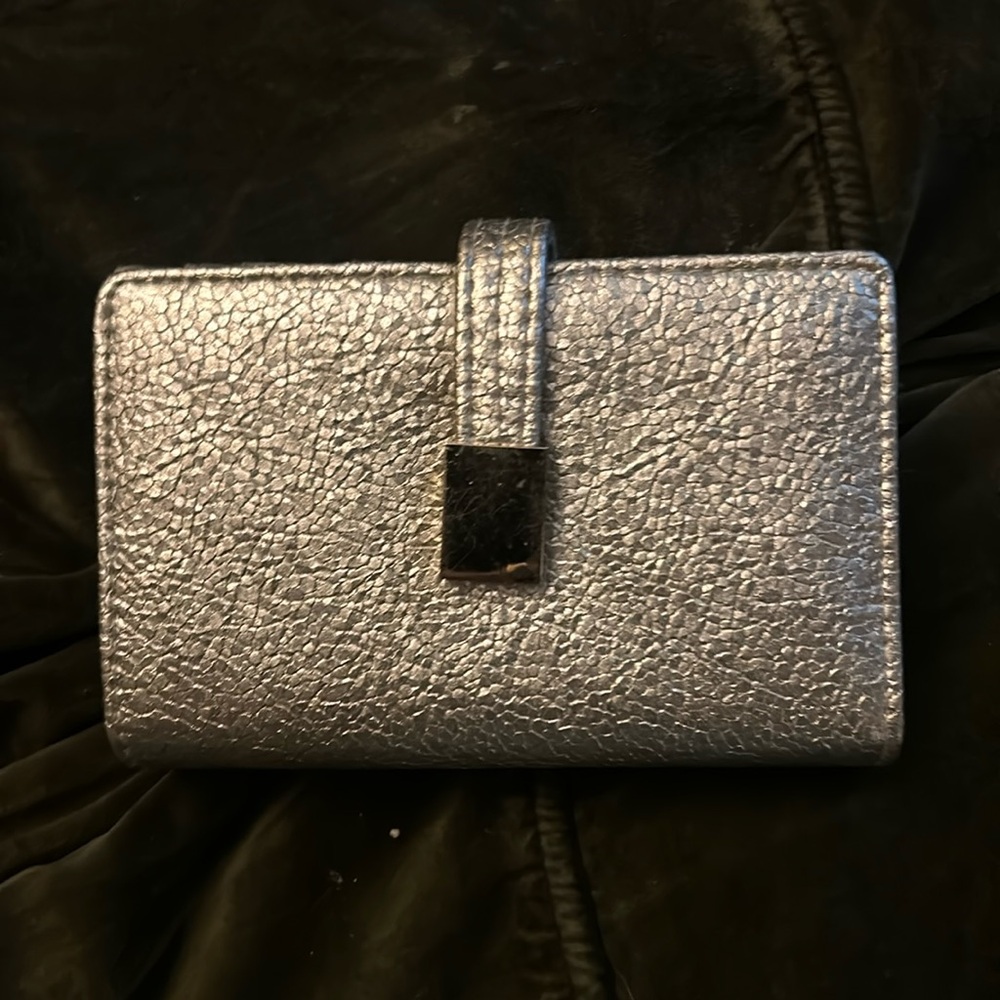 Safe Keeper Wallet Silver Colored